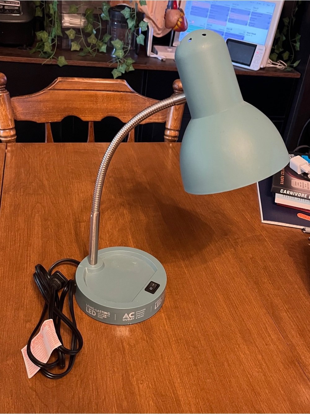 LED Desk Lamp with Plug